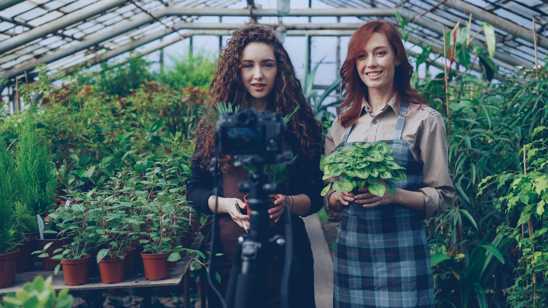 Video Promotion Strategies to Boost Business Visibility and Sales